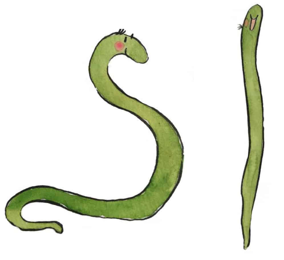 To grønne slanger