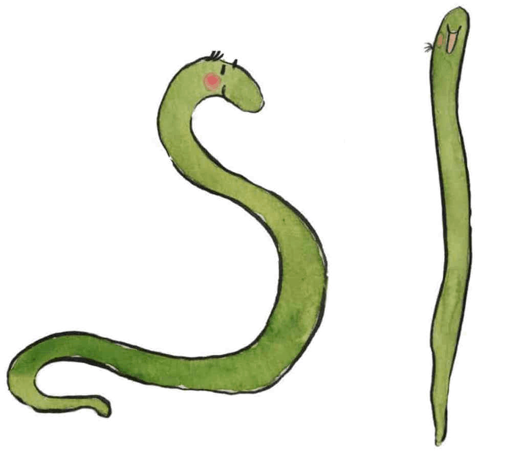 To grønne slanger